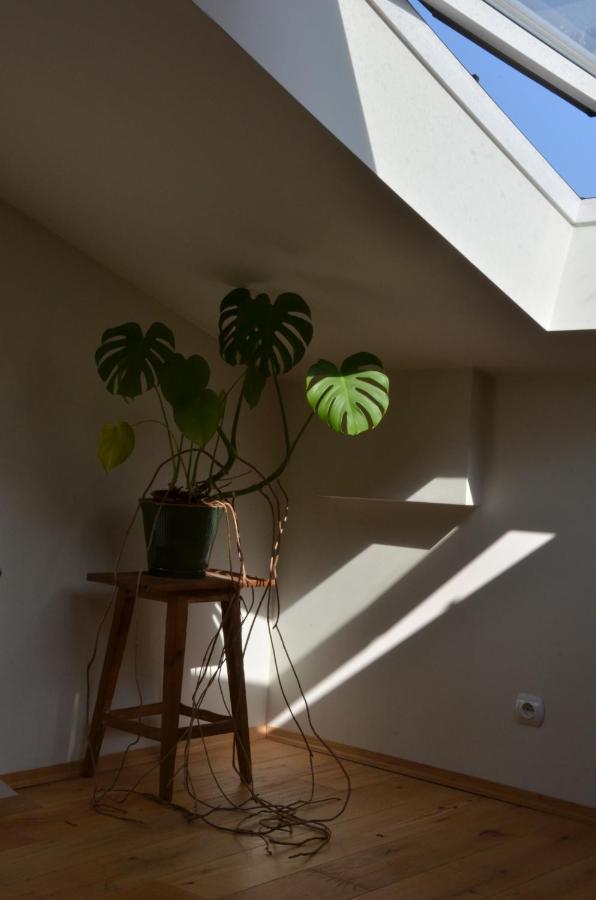 Poddasze Na Starym Podgorzu Apartment Krakow Bagian luar foto
